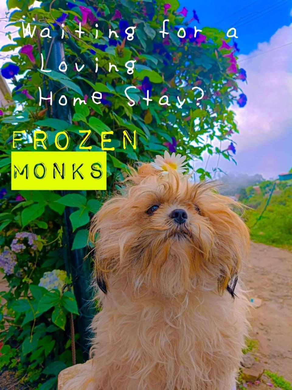 Frozen Monks Villa โกไดกานัล ภายนอก รูปภาพ